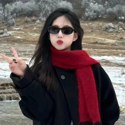 美国不平等的根源 海报